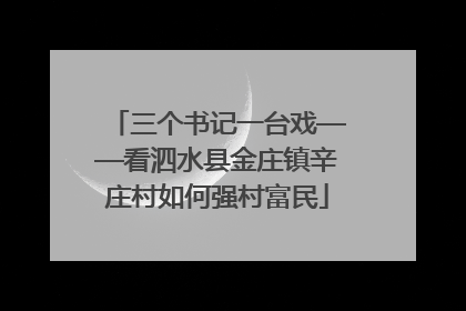 三个书记一台戏——看泗水县金庄镇辛庄村如何强村富民