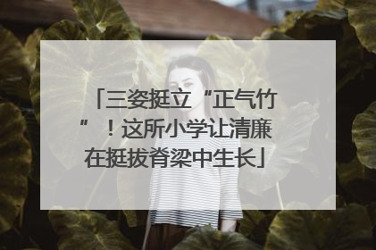 三姿挺立“正气竹”！这所小学让清廉在挺拔脊梁中生长