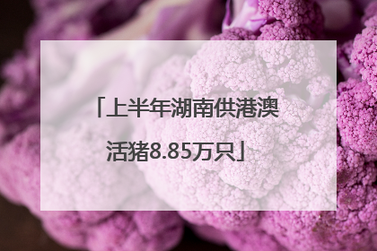 上半年湖南供港澳活猪8.85万只