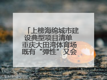 上榜海绵城市建设典型项目清单 重庆大田湾体育场既有“弹性”又会“呼吸”