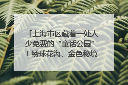 上海市区藏着一处人少免费的“童话公园”！绣球花海、金色秘境……地铁直达→