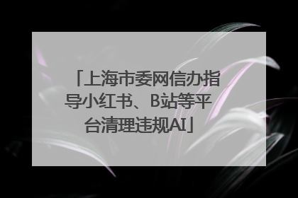 上海市委网信办指导小红书、B站等平台清理违规AI