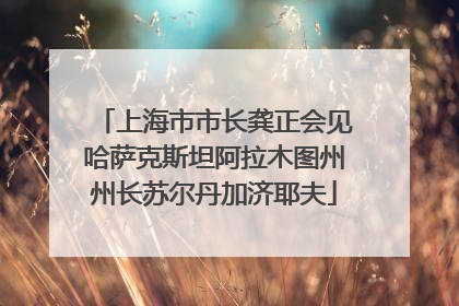 上海市市长龚正会见哈萨克斯坦阿拉木图州州长苏尔丹加济耶夫