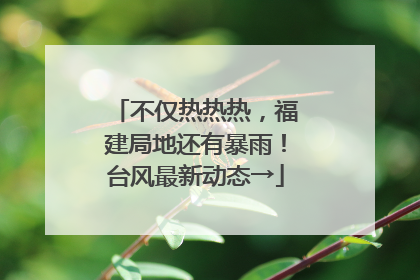 不仅热热热，福建局地还有暴雨！台风最新动态→