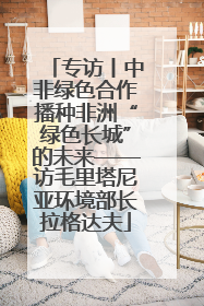 专访丨中非绿色合作播种非洲“绿色长城”的未来——访毛里塔尼亚环境部长拉格达夫