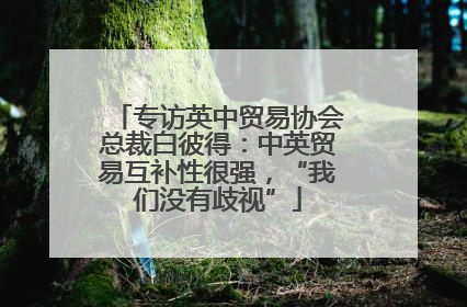 专访英中贸易协会总裁白彼得：中英贸易互补性很强，“我们没有歧视”