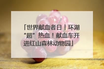 世界献血者日丨环湖“超”热血！献血车开进红山森林动物园