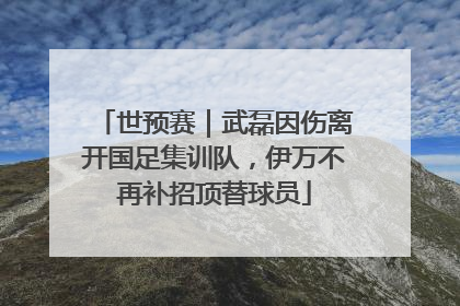 世预赛｜武磊因伤离开国足集训队，伊万不再补招顶替球员
