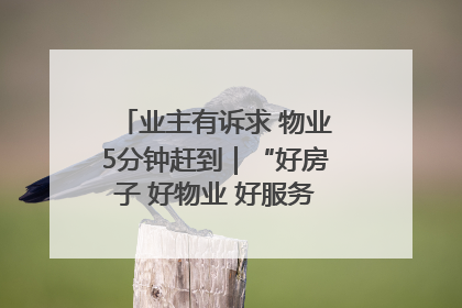 业主有诉求 物业5分钟赶到｜“好房子 好物业 好服务”系列报道④