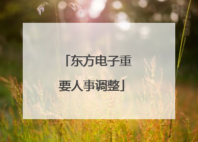 东方电子重要人事调整