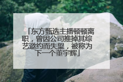 东方甄选主播顿顿离职，曾因公司推掉其综艺邀约而失望，被称为下一个董宇辉
