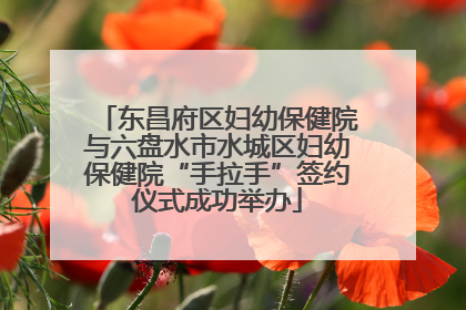 东昌府区妇幼保健院与六盘水市水城区妇幼保健院“手拉手”签约仪式成功举办