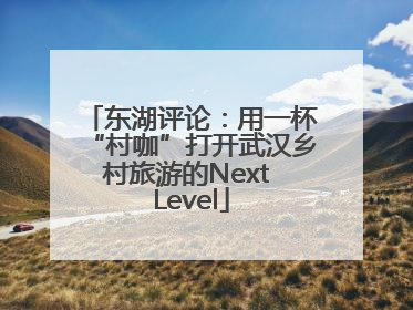 东湖评论：用一杯“村咖”打开武汉乡村旅游的Next Level