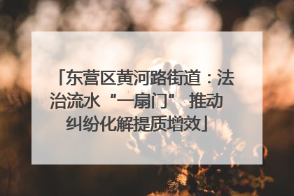 东营区黄河路街道：法治流水“一扇门” 推动纠纷化解提质增效