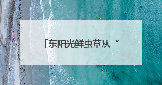 东阳光鲜虫草从“补”到“养”，冬虫夏草在现代养生中的新打开方式