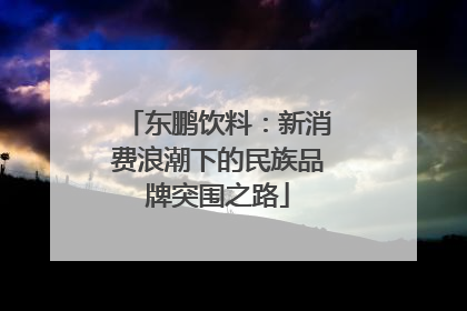 东鹏饮料：新消费浪潮下的民族品牌突围之路