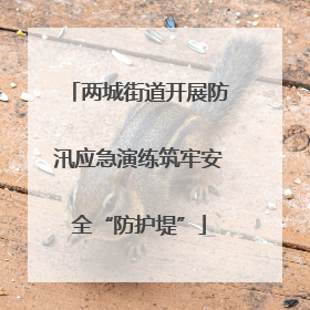 两城街道开展防汛应急演练筑牢安全“防护堤”