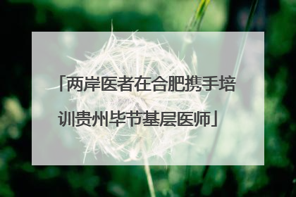 两岸医者在合肥携手培训贵州毕节基层医师