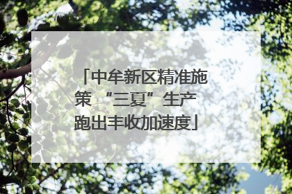 中牟新区精准施策 “三夏”生产跑出丰收加速度