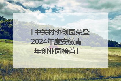 中关村协创园荣登2024年度安徽青年创业园榜首