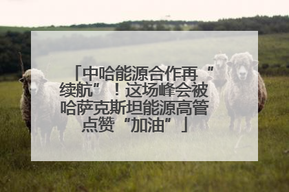 中哈能源合作再“续航”！这场峰会被哈萨克斯坦能源高管点赞“加油”