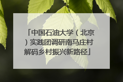 中国石油大学（北京）实践团调研南马庄村解码乡村振兴新路径