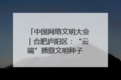 中国网络文明大会｜合肥庐阳区：“云端”播撒文明种子 共建清朗网络空间