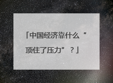 中国经济靠什么“顶住了压力”？