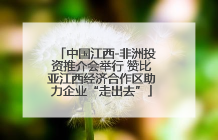 中国江西-非洲投资推介会举行 赞比亚江西经济合作区助力企业“走出去”