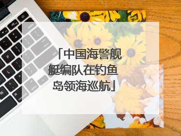 中国海警舰艇编队在钓鱼岛领海巡航