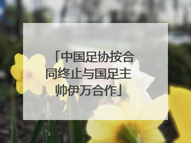 中国足协按合同终止与国足主帅伊万合作