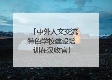 中外人文交流特色学校建设培训在汉收官