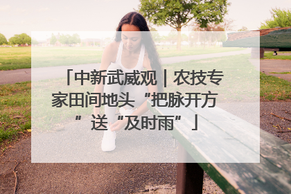 中新武威观｜农技专家田间地头“把脉开方”送“及时雨”