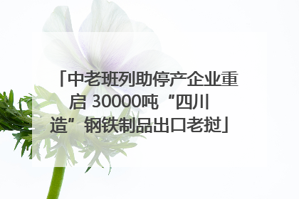 中老班列助停产企业重启 30000吨“四川造”钢铁制品出口老挝