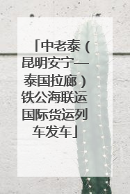 中老泰（昆明安宁—泰国拉廊）铁公海联运国际货运列车发车