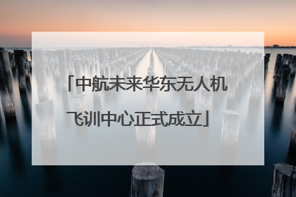 中航未来华东无人机飞训中心正式成立