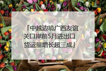 中越边境广西友谊关口岸前5月进出口货运量增长超三成
