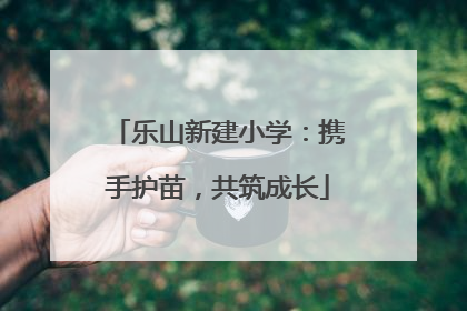 乐山新建小学：携手护苗，共筑成长