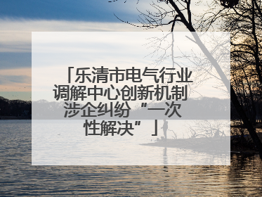 乐清市电气行业调解中心创新机制 涉企纠纷“一次性解决”