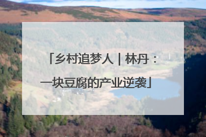 乡村追梦人｜林丹：一块豆腐的产业逆袭