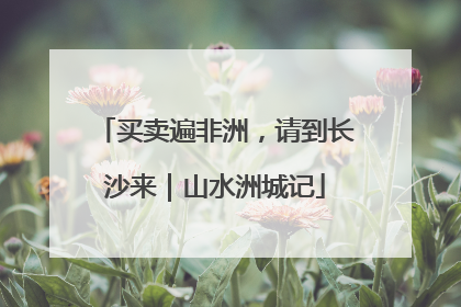买卖遍非洲，请到长沙来｜山水洲城记