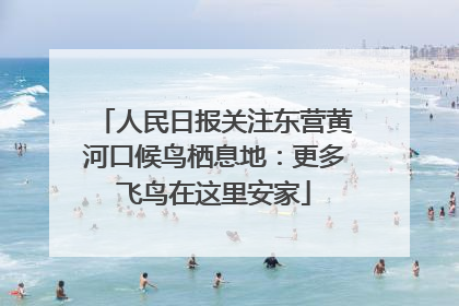 人民日报关注东营黄河口候鸟栖息地：更多飞鸟在这里安家