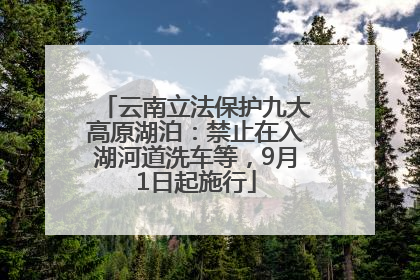 云南立法保护九大高原湖泊：禁止在入湖河道洗车等，9月1日起施行