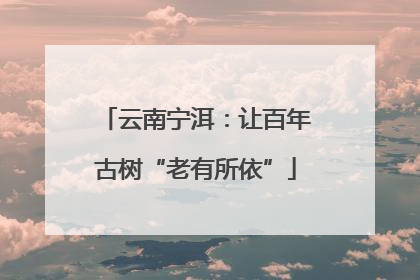 云南宁洱：让百年古树“老有所依”
