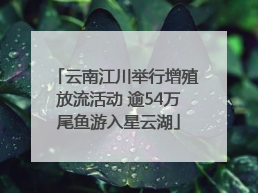 云南江川举行增殖放流活动 逾54万尾鱼游入星云湖