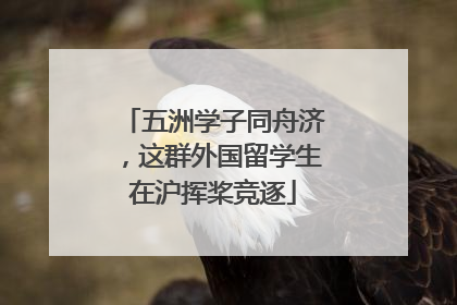五洲学子同舟济，这群外国留学生在沪挥桨竞逐