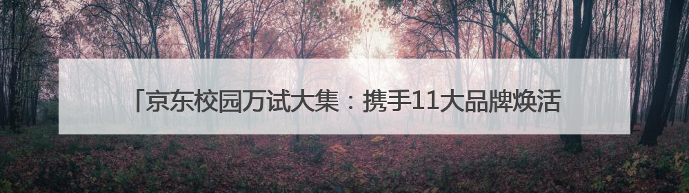 京东校园万试大集：携手11大品牌焕活毕业季，20所高校掀起体验式消费热潮