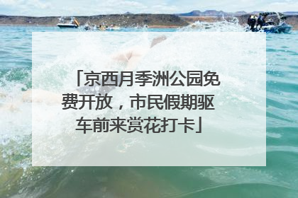 京西月季洲公园免费开放，市民假期驱车前来赏花打卡