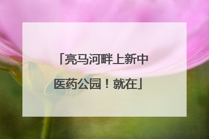 亮马河畔上新中医药公园！就在