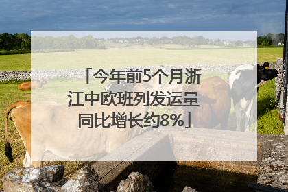 今年前5个月浙江中欧班列发运量同比增长约8%